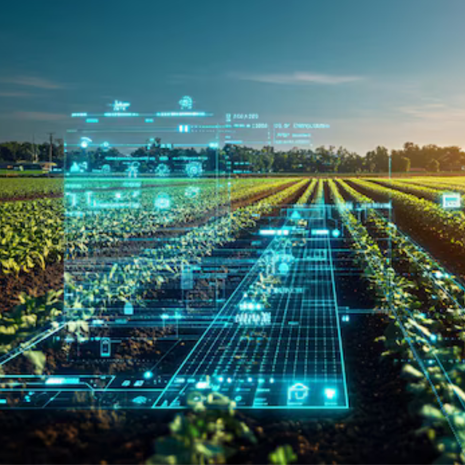 Agriculture & Environmental Monitoring